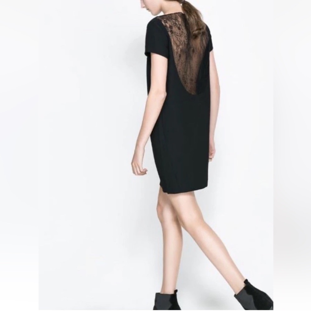 NWOT Zara Women's  Lace Overlay Shift Dress